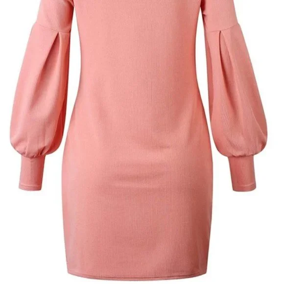 NWT Baby Pink Knit Mockneck Puff Sleeve Dress - Picture 4 of 4